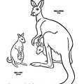 Baby_Kangaroo_Coloring_Pages_011.jpg