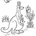 Baby_Kangaroo_Coloring_Pages_022.jpg