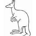 Kangaroo_Coloring_Pages_054.jpg
