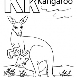 Kangaroo Activities