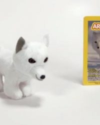2018-april-weird-but-true-national-geographic-mcdonalds-happy-meal-toys-arctic-fox.jpg
