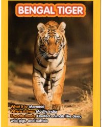 2018-april-weird-but-true-national-geographic-mcdonalds-happy-meal-toys-cards-bengal-tiger-back.jpg