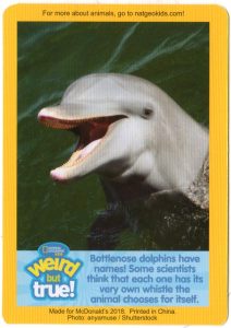 2018-april-weird-but-true-national-geographic-mcdonalds-happy-meal-toys-cards-dolphin-front.jpg