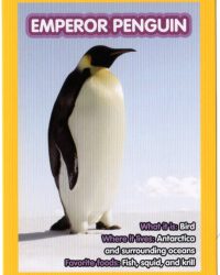 2018-april-weird-but-true-national-geographic-mcdonalds-happy-meal-toys-cards-emperor-penguin-back.jpg