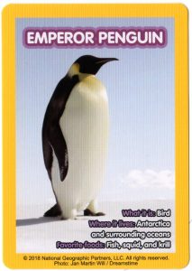 2018-april-weird-but-true-national-geographic-mcdonalds-happy-meal-toys-cards-emperor-penguin-back.jpg