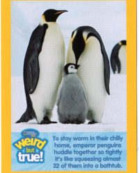 2018-april-weird-but-true-national-geographic-mcdonalds-happy-meal-toys-cards-emperor-penguin-front.jpg