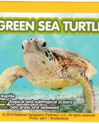 2018-april-weird-but-true-national-geographic-mcdonalds-happy-meal-toys-cards-green-sea-turtle-back.jpg