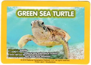 2018-april-weird-but-true-national-geographic-mcdonalds-happy-meal-toys-cards-green-sea-turtle-back.jpg