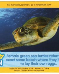 2018-april-weird-but-true-national-geographic-mcdonalds-happy-meal-toys-cards-green-sea-turtle-front.jpg