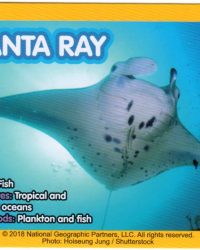2018-april-weird-but-true-national-geographic-mcdonalds-happy-meal-toys-cards-manta-ray-back.jpg