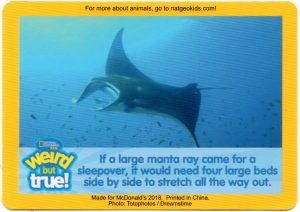 2018-april-weird-but-true-national-geographic-mcdonalds-happy-meal-toys-cards-manta-ray-front.jpg
