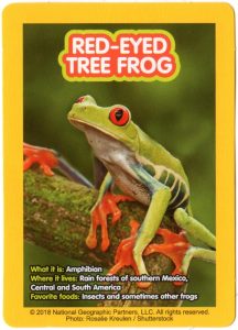 2018-april-weird-but-true-national-geographic-mcdonalds-happy-meal-toys-cards-red-eyed-tree-frog-back.jpg