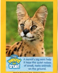 2018-april-weird-but-true-national-geographic-mcdonalds-happy-meal-toys-cards-serval-front.jpg