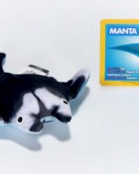 2018-april-weird-but-true-national-geographic-mcdonalds-happy-meal-toys-manta-ray.jpg