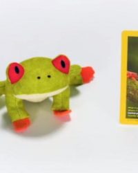 2018-april-weird-but-true-national-geographic-mcdonalds-happy-meal-toys-red-eyed-tree-frog.jpg
