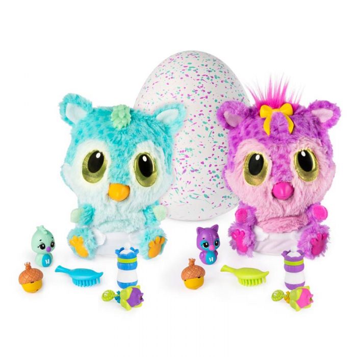 hatchimals kidstuff