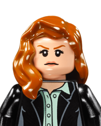 Lego DC Comics Super Heroes Characters - Lois Lane