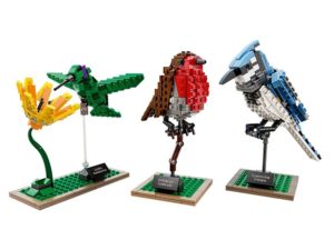 LEGO Ideas – 21301 Birds