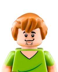 Lego Dimensions Characters Shaggy