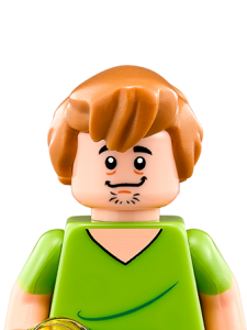 Lego Dimensions Characters Shaggy